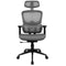 DRIFT DRAIR200BG - Gaming afstandsbediening - Stoel