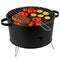 Alpina Tafelbarbecue Houtskool - 35 cm - Lichtgewicht RVS - Zwart