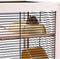 Ferplast Hamsterville - Hamsterkooi - 4 verdiepingen - 60 x 34 x 49 cm