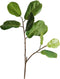 PTMD Leaves Plant Funaria Kunsttak - 60 x 45 x 95 cm - Groen