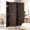 vidaXL - Kamerscherm - 4 - Panelen - Vouwbaar - Bruin - 195x180 - cm - Poly - Rattan