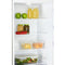 Beko RCSA270K40SN - Vrijstaande koelkast - 2 deurs - Inox - 171x54x57 cm