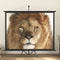 vidaXL - Projectiescherm - met - statief - 4:3 - 72''