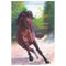 Gouden paarden - Gouden paarden. Izar, de Spaanse beauty