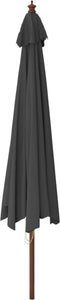 vidaXL - Parasol - met - houten - paal - 400x273 - cm - antracietkleurig