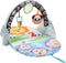 Fisher Price - 2-in-1 Activity Gym