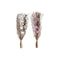 Boeket DKD Home Decor Roze Bruin Wit Gedroogde bloem (2 Stuks) (30 x 30 x 65 cm)