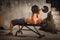Iron Gym 23kg Adjustable All In One Curl Bar Set