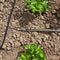 IRRIGATIA MICRO POREUZE SLANG - Bewatering - Sijpelslang 25m