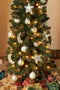Black Box Trees Charlton Pilar kerstboom groen TIPS 362 - h215xd56cm