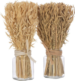 J-Line droogbloemen - Bundel gedroogde Avana gras in vaas - naturel - 2 stuks