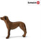 schleich FARM WORLD - Rhodesische ridgeback - 13895