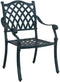 vidaXL - Tuinstoelen - 2 - stuks - Groen - Gietijzer