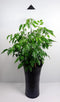 iSun PotLed (GRAFIET) 10 watt zonder controller