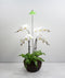 iSun PotLed (GROEN) 10 watt zonder controller