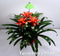 iSun PotLed (GROEN) 7W zonder controller