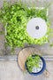iSun PotLed (WIT) 10 watt zonder controller