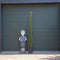 Italiaanse cipresboom Cupressus sempr. Pyramidalis h 275 cm
