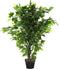 Items Kunstplant Ficus plant in bloempot - Groen - 50 x 90 cm