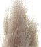 Decoratieve plant DKD Home Decor Beige Bordeaux (7 x 7 x 120 cm) (2 Stuks)