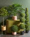 Mica Decorations Kunstplant Buxus - 30x30x120 cm - Polyethyleen - Groen