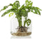 Eco vaas 'gigi' h20 d19 cm