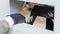 Scheppach HS720 - Wipzaag - 3000W 230V - Max. Ø24 cm hout en 150 cm lengte