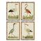 Schilderij Home ESPRIT Beige Vogels Traditioneel 50 x 2,5 x 40 cm (4 Stuks)