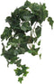Ivy Chicago M kunsthangplant