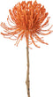 J-Line bloem Leucospermum - kunststof - oranje - large - 12 stuks