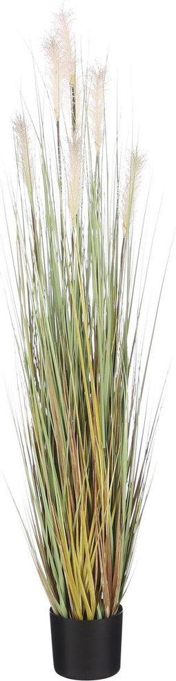 Mica Decorations Pluimgras Foxtail Kunstplant - H150 x Ø70 cm - Crème