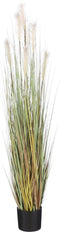Mica Decorations Pluimgras Foxtail Kunstplant - H150 x Ø70 cm - Crème