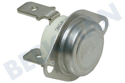 MIELE AV 175-0S - Thermostaat op element 175gr - Breedte 32mm Hoogte 22cm