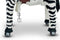 MY PONY, rijdend speelgoed zebra, 4 - 10 jaar