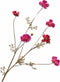 Silk-ka Kunstbloem-Zijden Bloem Cosmos Tak