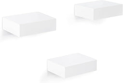 Woltu RG9498ws - Wandplank - Set van 3 - Zwevende Planken met Verborgen Houder - Wit (set van 3)