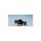 Bering Dames 11435-102 - Polshorloge - Saffierglas 35 mm - Zwart