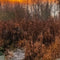Customize it - Tuinschilderij winter sunset 130x70