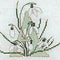 Thea Gouverneur - Borduurpakket met telpatroon - 2025 - Voorgesorteerde DMC Garens - Alfabet Bloemen - Linnen - 60 cm x 57 cm - DIY Kit