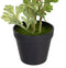 Decoratieve plant Polyester Polyethyleen Ijzer Bloem 12,5 x 12,5 x 37 cm