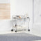vidaXL - Opbergtrolley - 2-laags - 37x28x43,5 - cm - acryl - transparant
