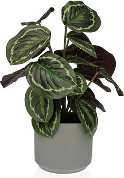 Decoratieve plant Versa 15 x 40,5 x 15 cm Cement Plastic