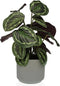 Decoratieve plant Versa 15 x 40,5 x 15 cm Cement Plastic