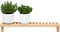 vidaXL - Wandrek - 62x10x12,5 - cm - Massief - Hout - Notenhout