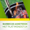 Kinzo Elektrische Onkruidbrander - Onkruidverwijderaar 200W - tot 650°C - Multifunctioneel - Groen/Grijs