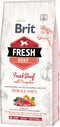 Brit Fresh Beef & Pumpkin Puppy Large Breed 12 kg - Hond
