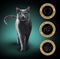 Sheba Kattenvoer - Sauce Collection - Vis Selectie - 40x85g Mega-Pack