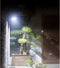 Izoxis Solar Straatlantaarn 120 COB LEDs - Duurzame Buitenverlichting