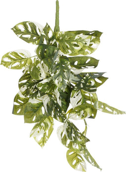 Mica Decorations Monstera Adansonii Kunst Hangplant - H53 cm - Groen Bont