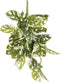 Mica Decorations Monstera Adansonii Kunst Hangplant - H53 cm - Groen Bont